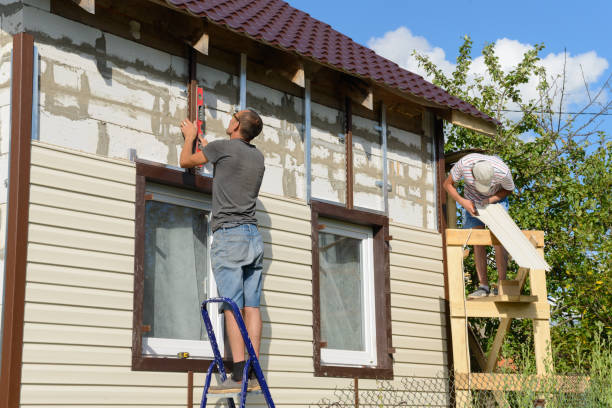 Best Custom Siding Design  in Flowing Wells, AZ