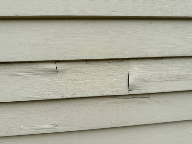 Best Insulated Siding Installation  in Flowing Wells, AZ